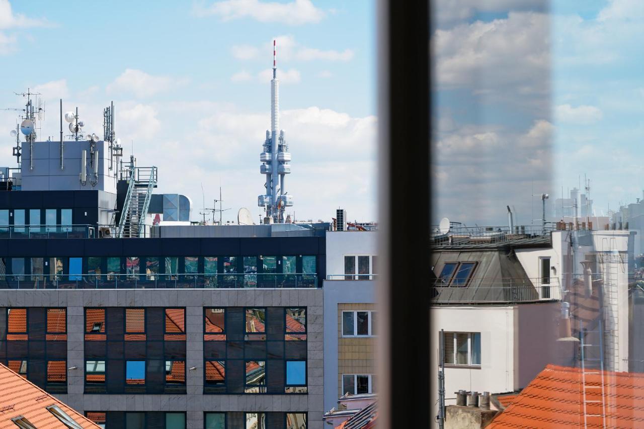 Luma Terra Prague Hostel — Photos 3